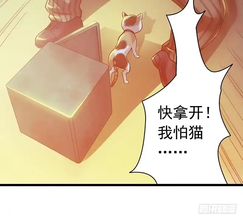 《水星速递》第5章 猫与猫眼石2 第51页