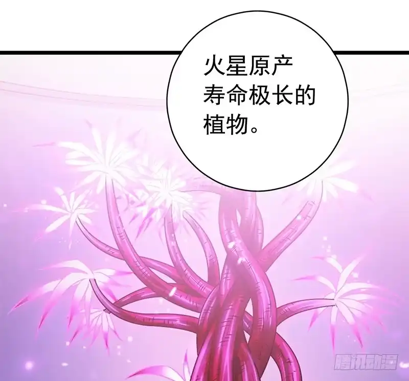 《水星速递》第7章 永生花1 第5页