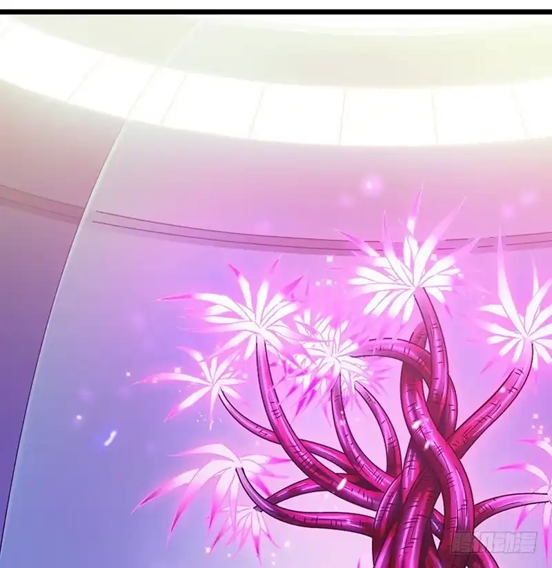 《水星速递》第7章 永生花1 第22页