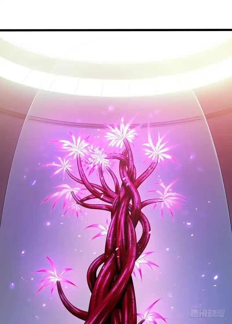 《水星速递》第7章 永生花1 第1页