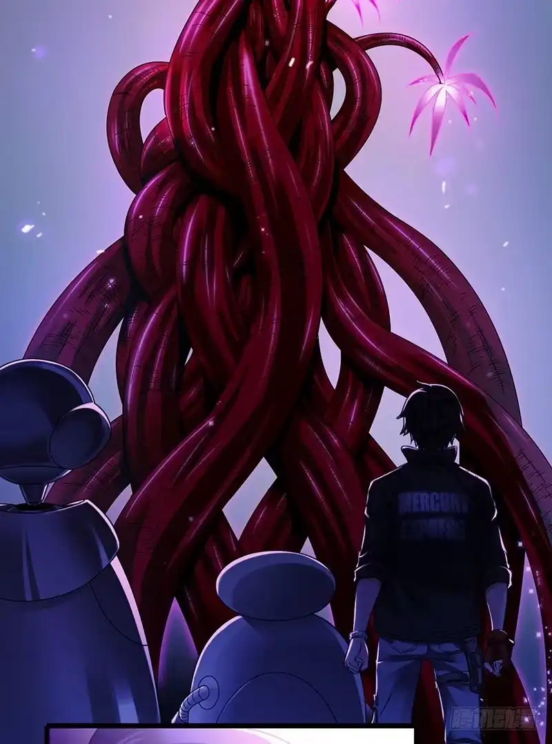 《水星速递》第7章 永生花1 第2页