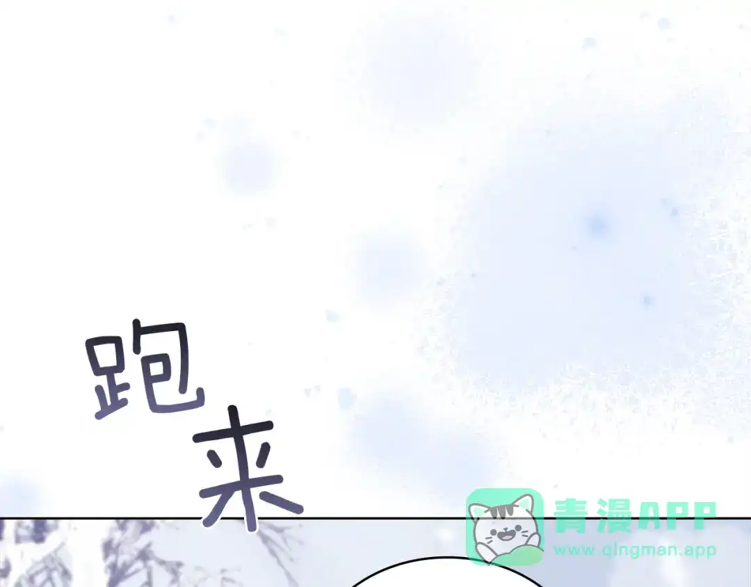261.jpg