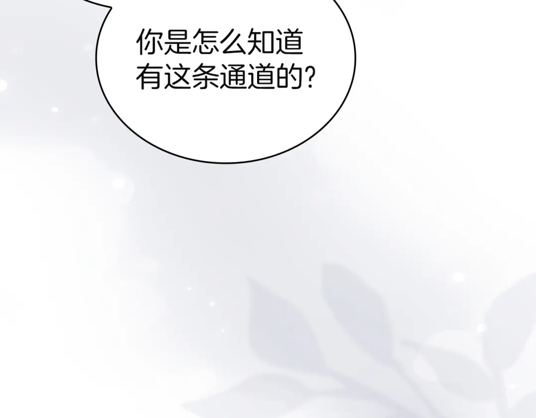 淑女想休息 第206话 精灵石暴走 第230页