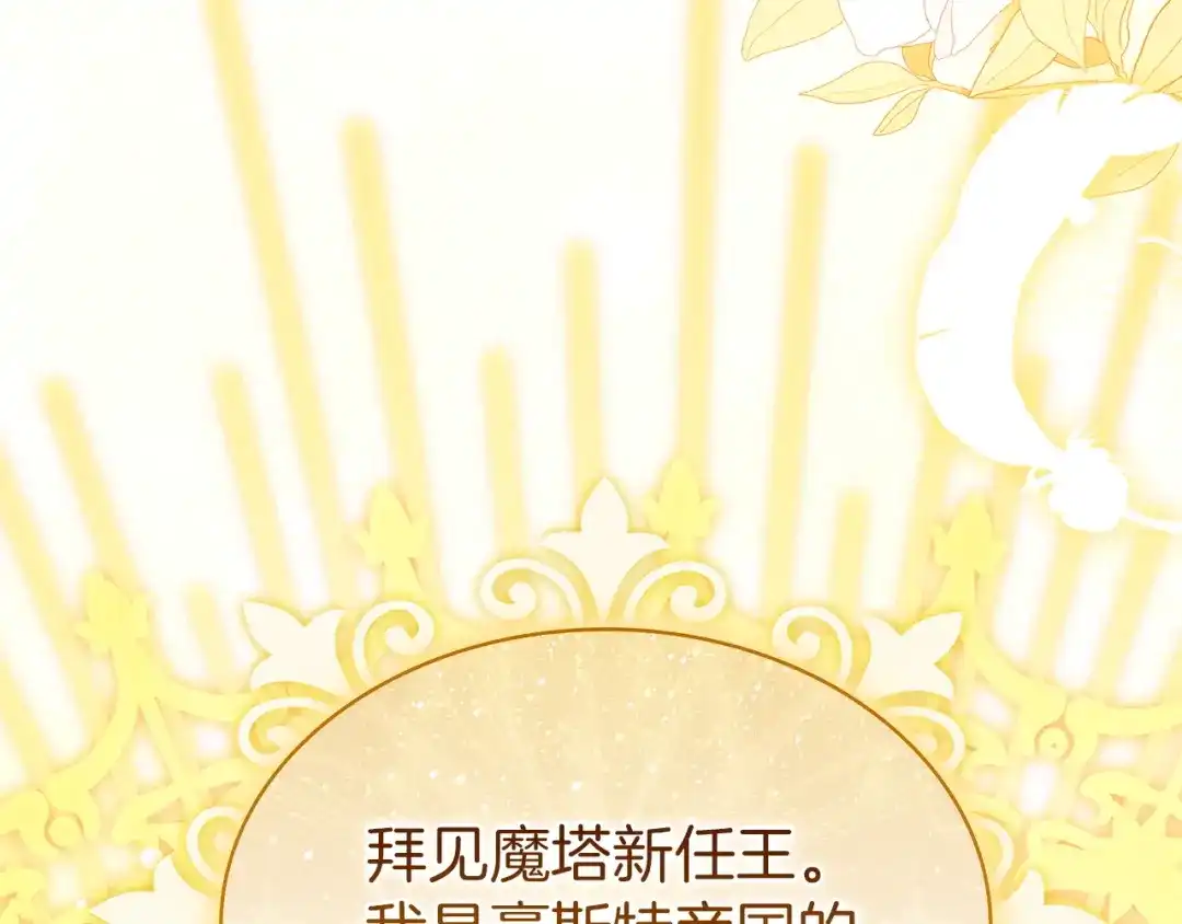 淑女想休息 第207话 新魔塔之王诞生 第243页
