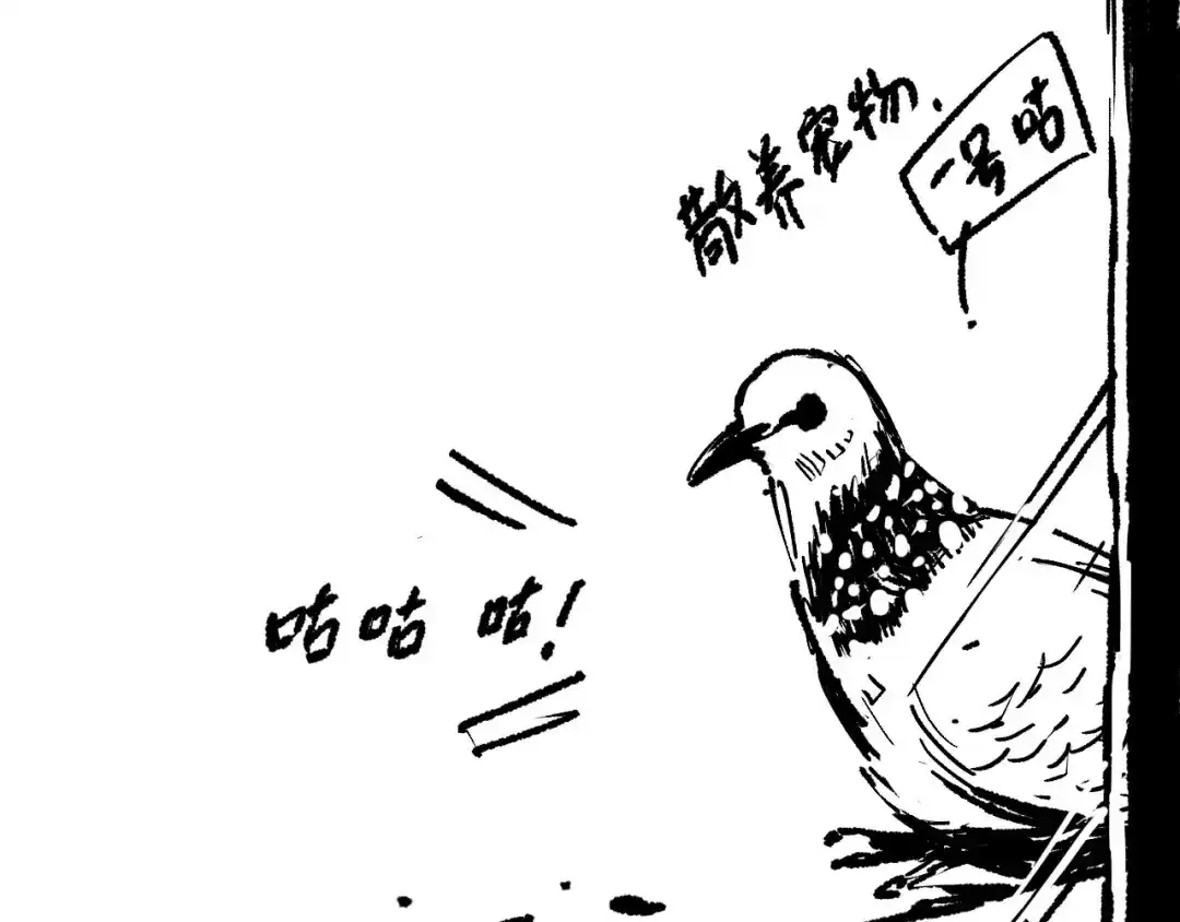 死灵法师！我即是天灾 第222话 雷光神兽 第157页