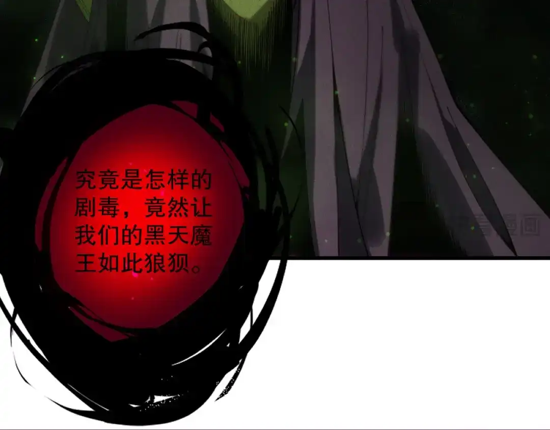 死灵法师！我即是天灾 第222话 雷光神兽 第80页
