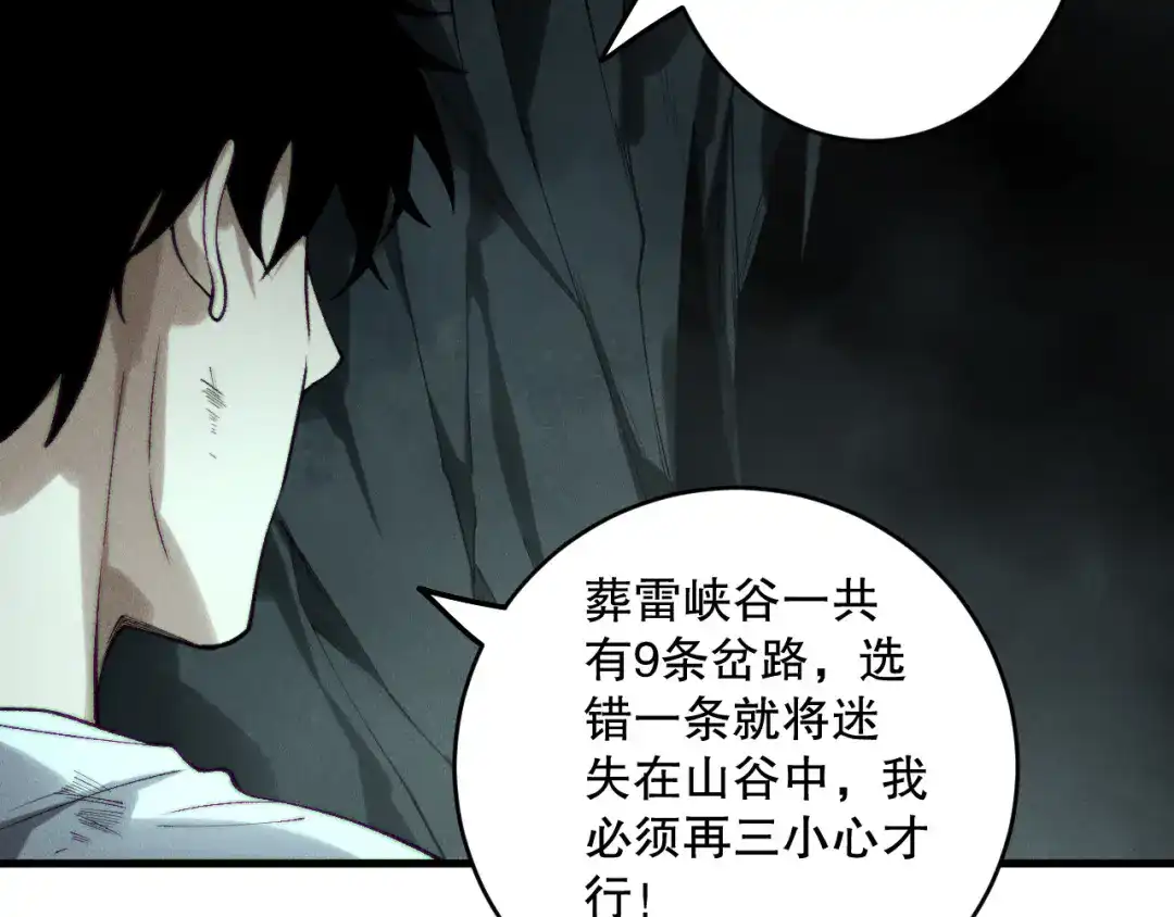 死灵法师！我即是天灾 第222话 雷光神兽 第19页