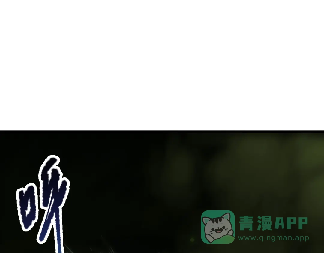 死灵法师！我即是天灾 第222话 雷光神兽 第81页