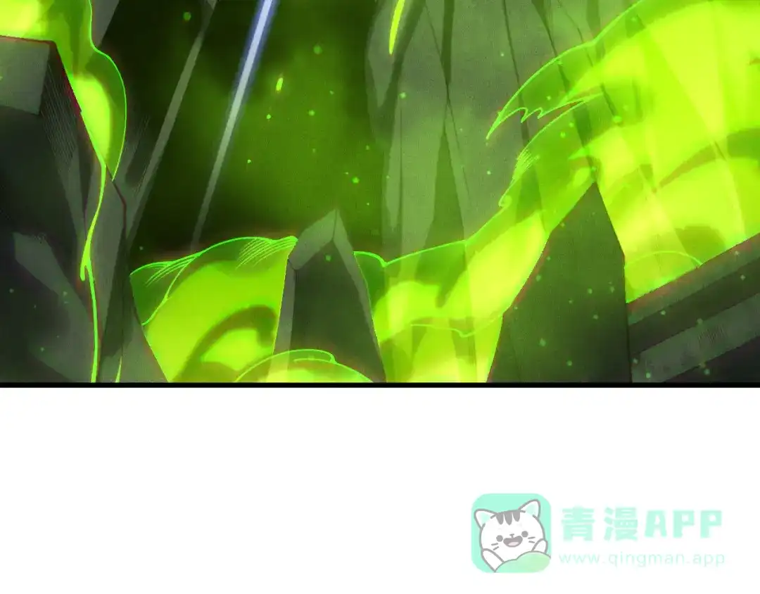 死灵法师！我即是天灾 第222话 雷光神兽 第71页