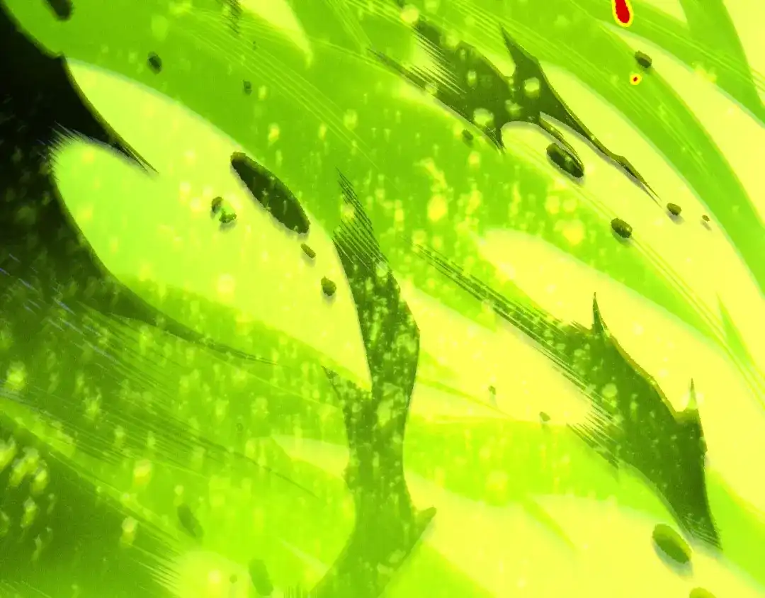 死灵法师！我即是天灾 第245话 人族的造神计划 第72页