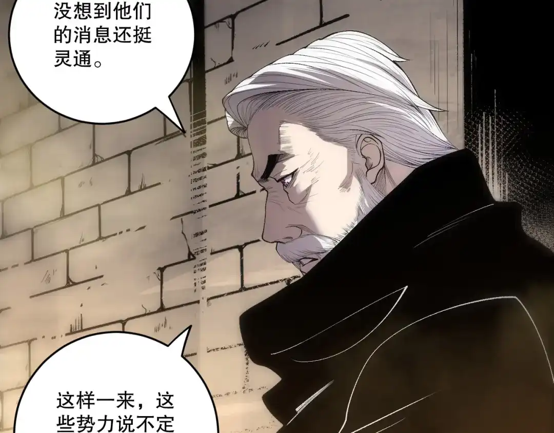 死灵法师！我即是天灾 第248话 覆盖整个帝国的大阵 第95页