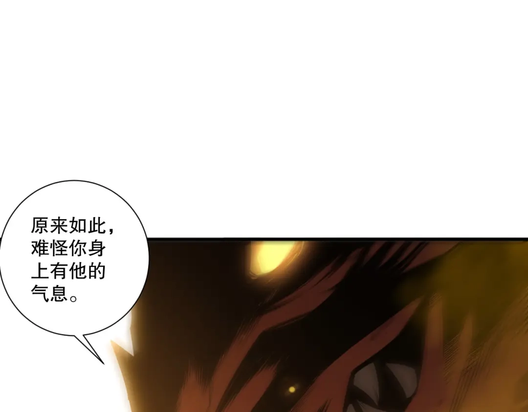 死灵法师！我即是天灾 第248话 覆盖整个帝国的大阵 第12页