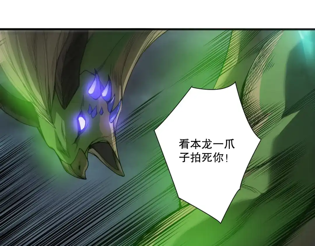 死灵法师！我即是天灾 第258话 挑战元素巨龙 第39页