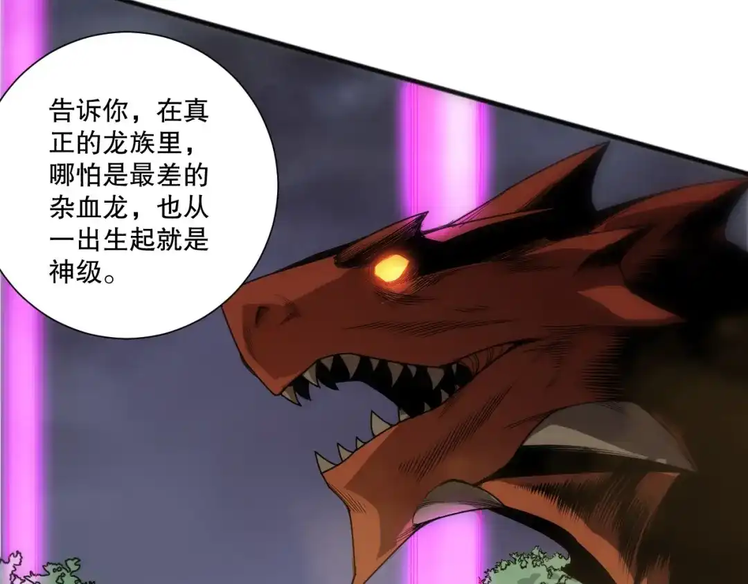 死灵法师！我即是天灾 第262话 真正的龙族秘辛 第78页
