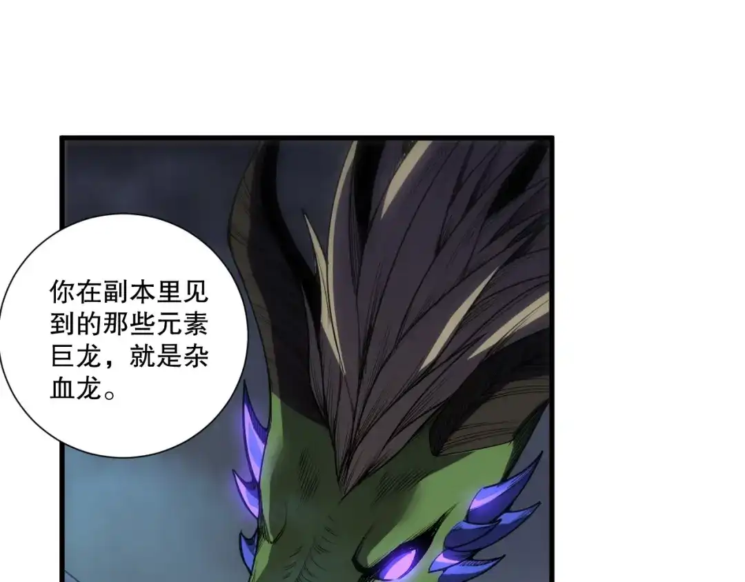 死灵法师！我即是天灾 第262话 真正的龙族秘辛 第67页
