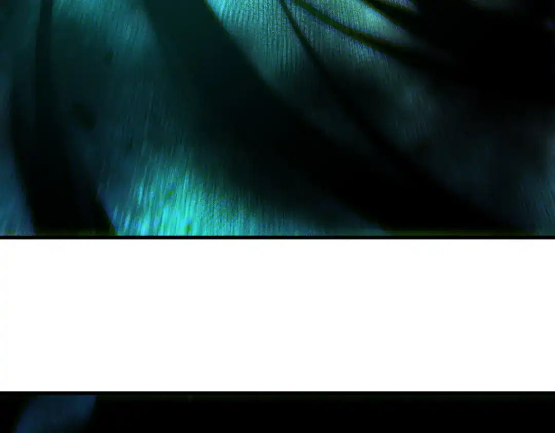 死灵法师！我即是天灾 第268话 前辈的敌意 第98页