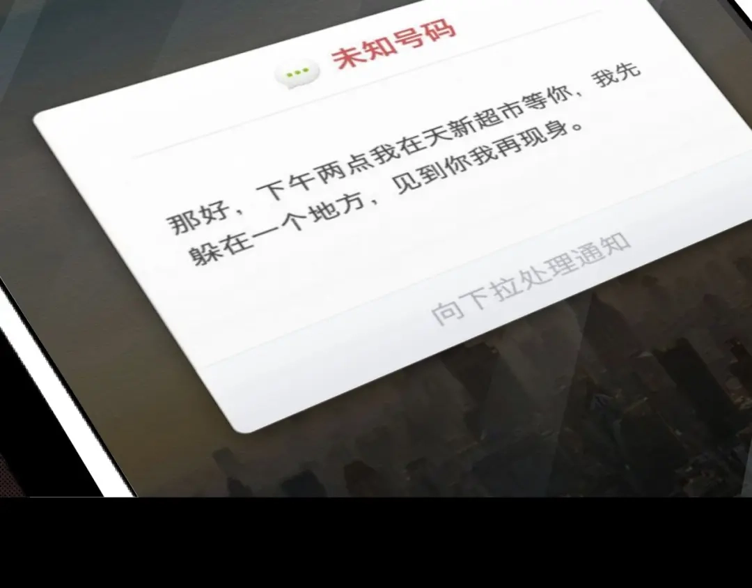 《死亡存档》第47话 协助抓捕林峰 第21页