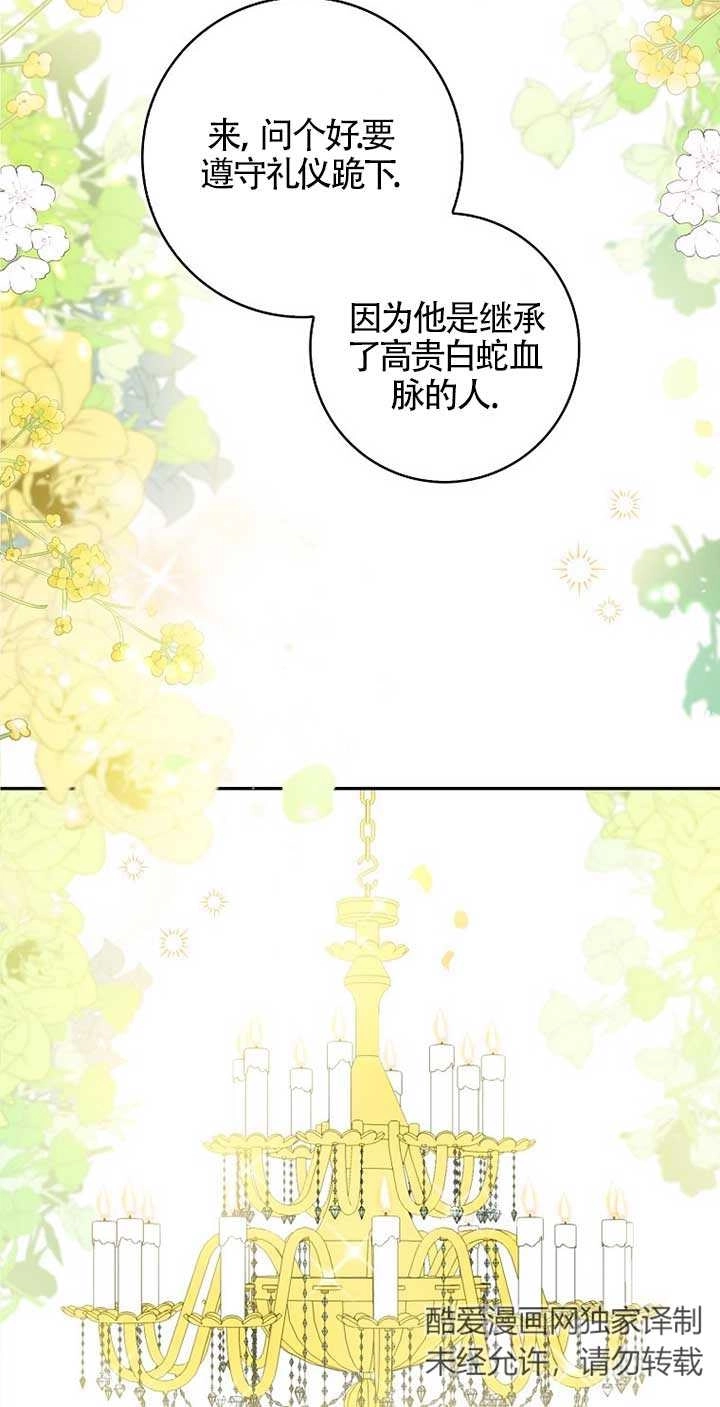 《松鼠宝宝无所不能》第01话 第3页