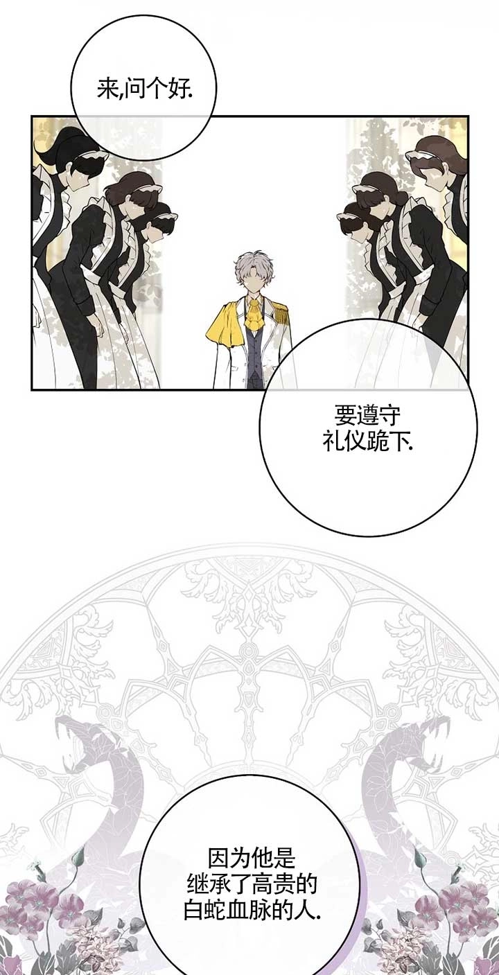 《松鼠宝宝无所不能》第01话 第46页