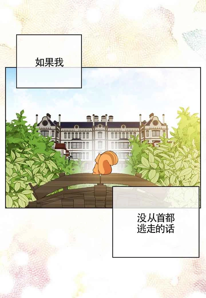 《松鼠宝宝无所不能》第10话 第91页