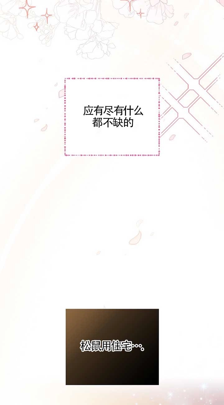 《松鼠宝宝无所不能》第11话 第20页