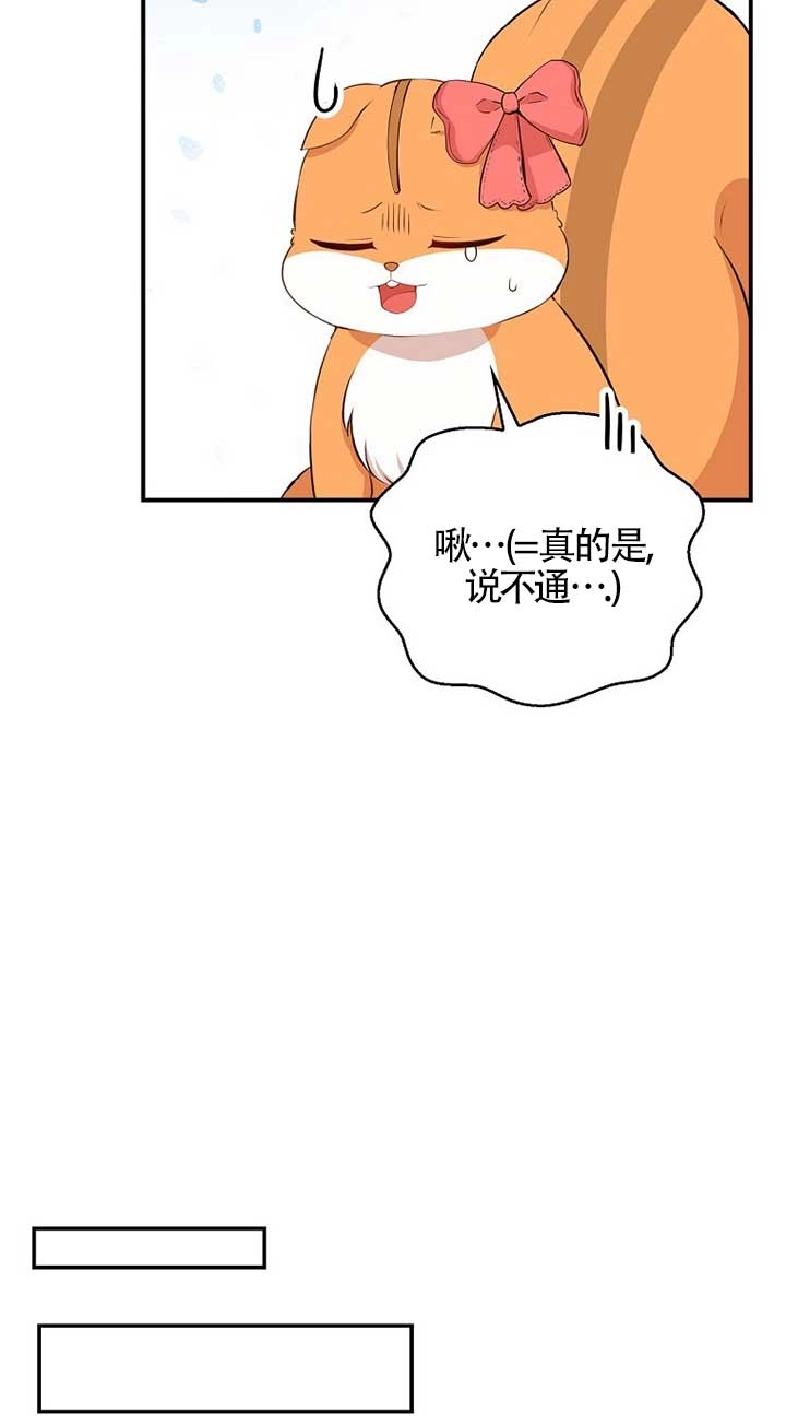 《松鼠宝宝无所不能》第11话 第35页