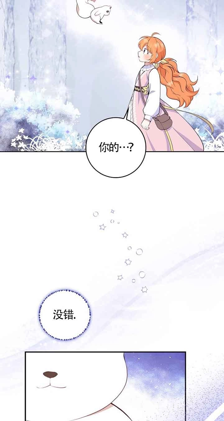《松鼠宝宝无所不能》第13话 第43页