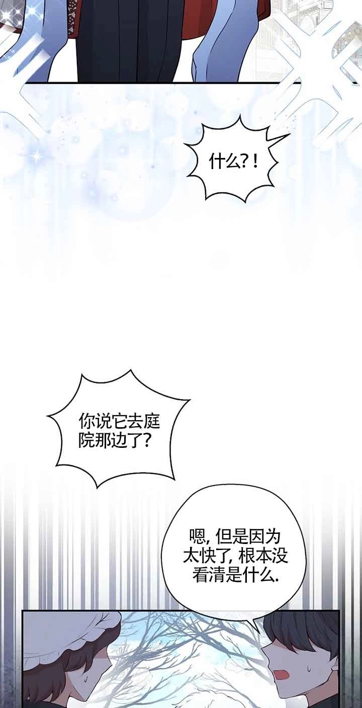 《松鼠宝宝无所不能》第13话 第19页