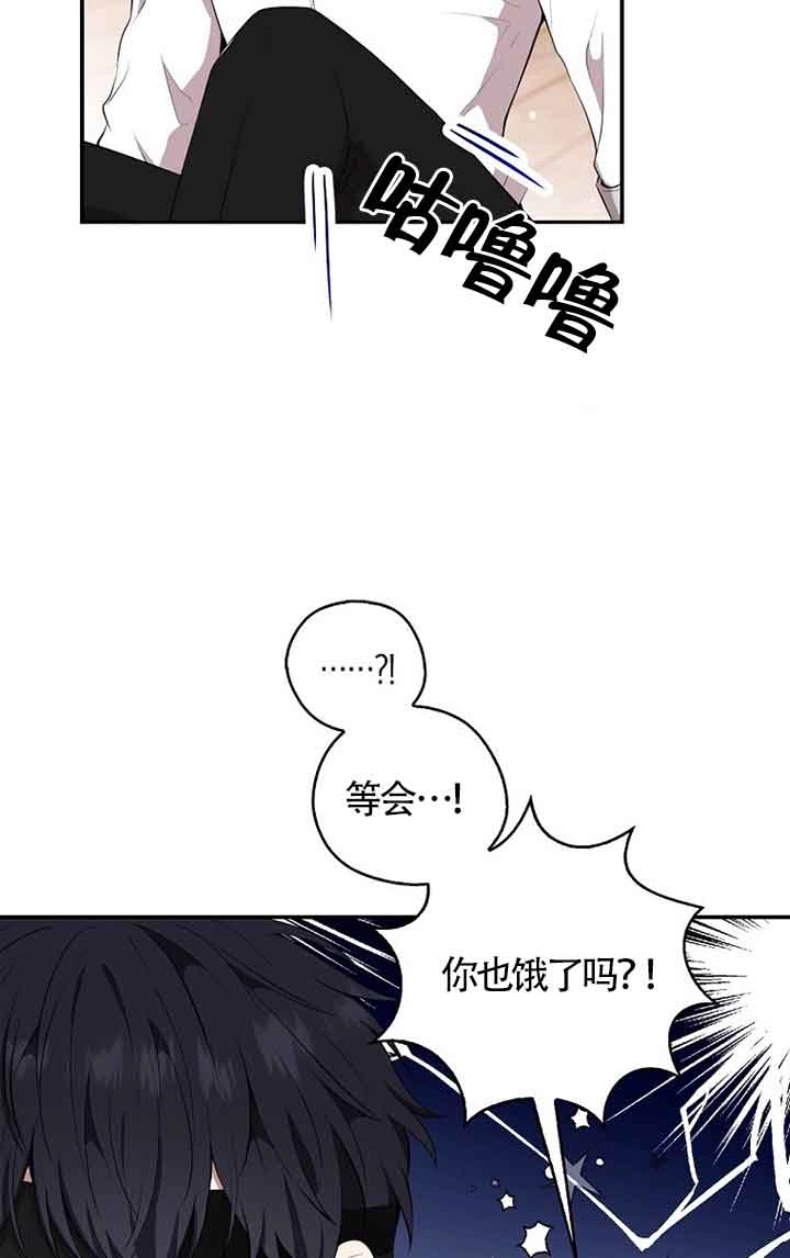 《松鼠宝宝无所不能》第15话 第51页