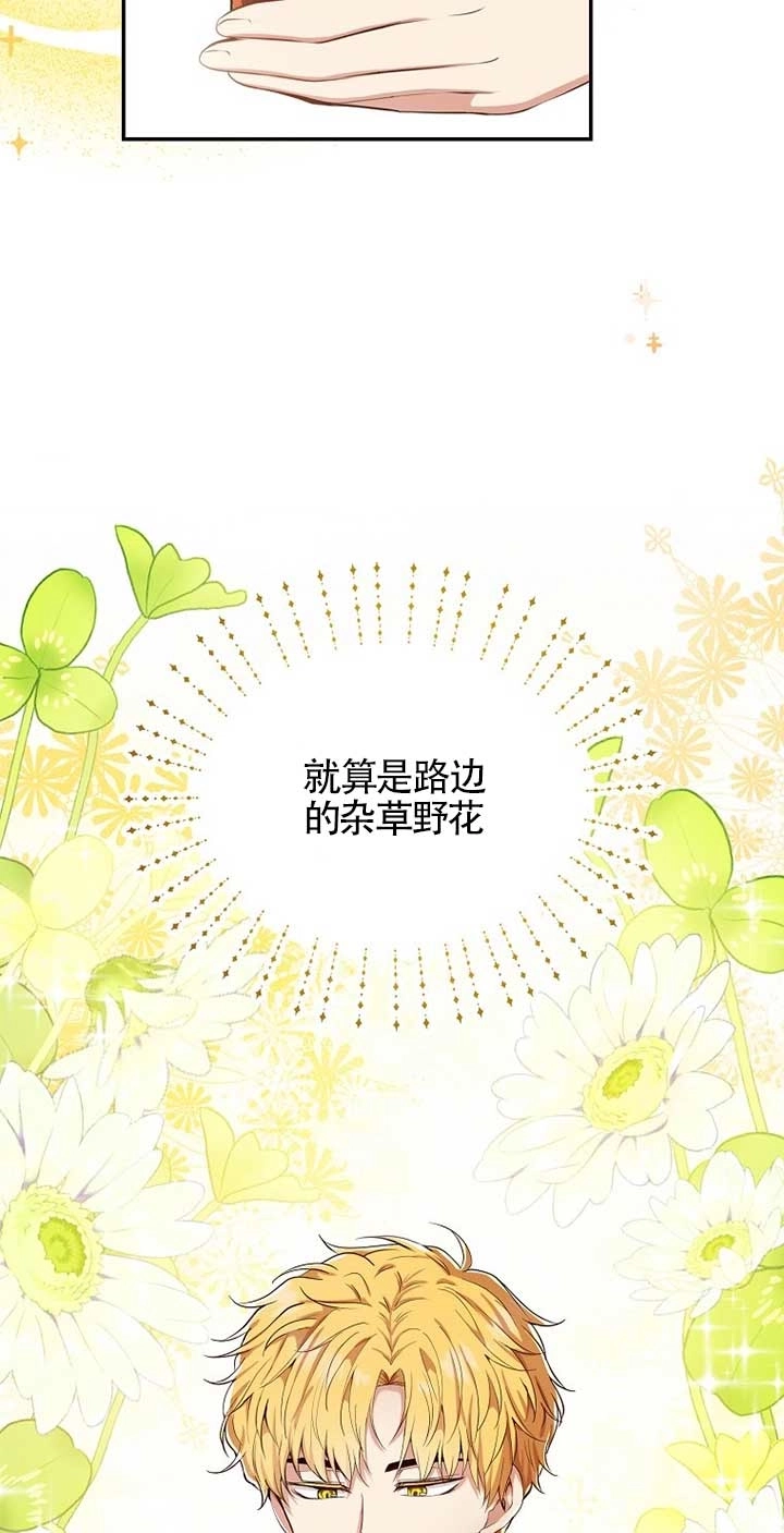 《松鼠宝宝无所不能》第19话 第21页
