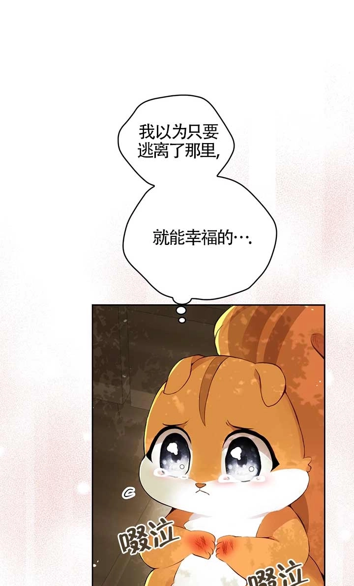 《松鼠宝宝无所不能》第02话 第93页