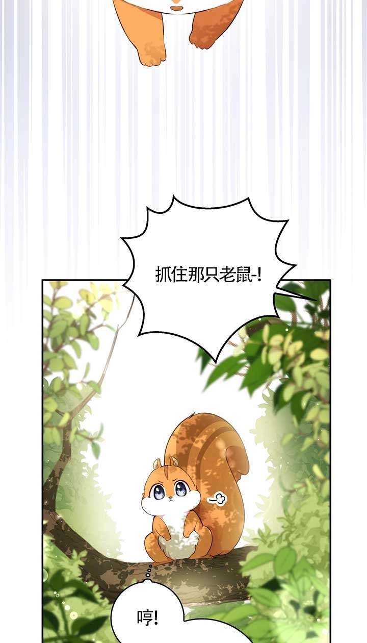 《松鼠宝宝无所不能》第02话 第78页