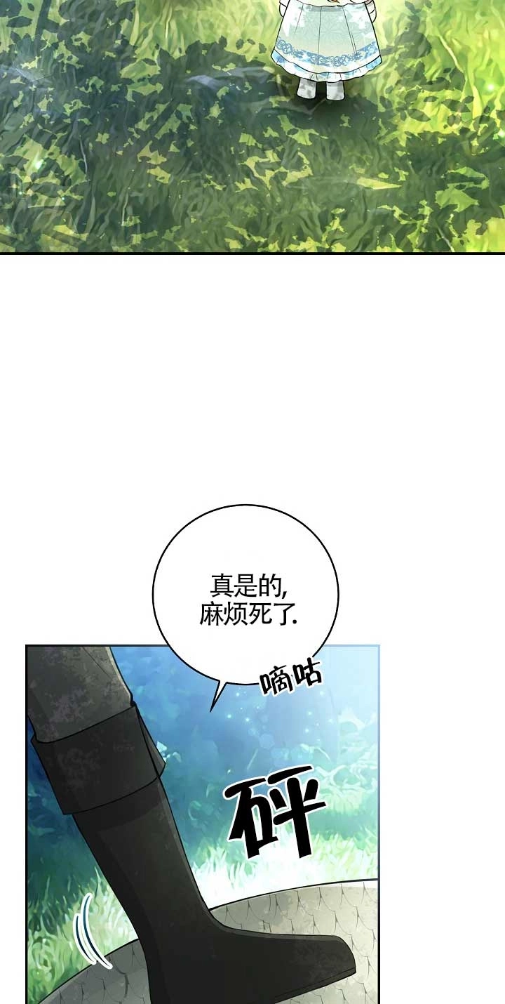 《松鼠宝宝无所不能》第28话 第48页