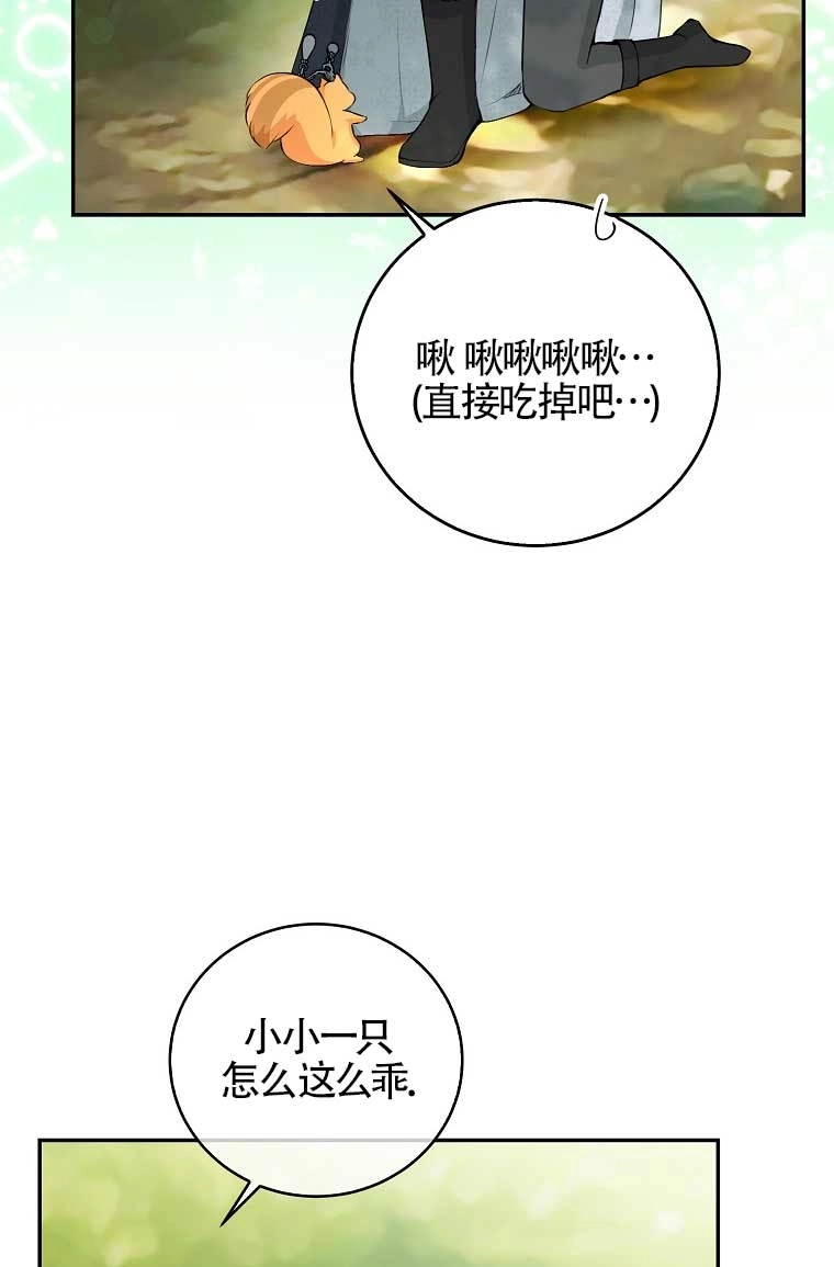 《松鼠宝宝无所不能》第29话 第57页