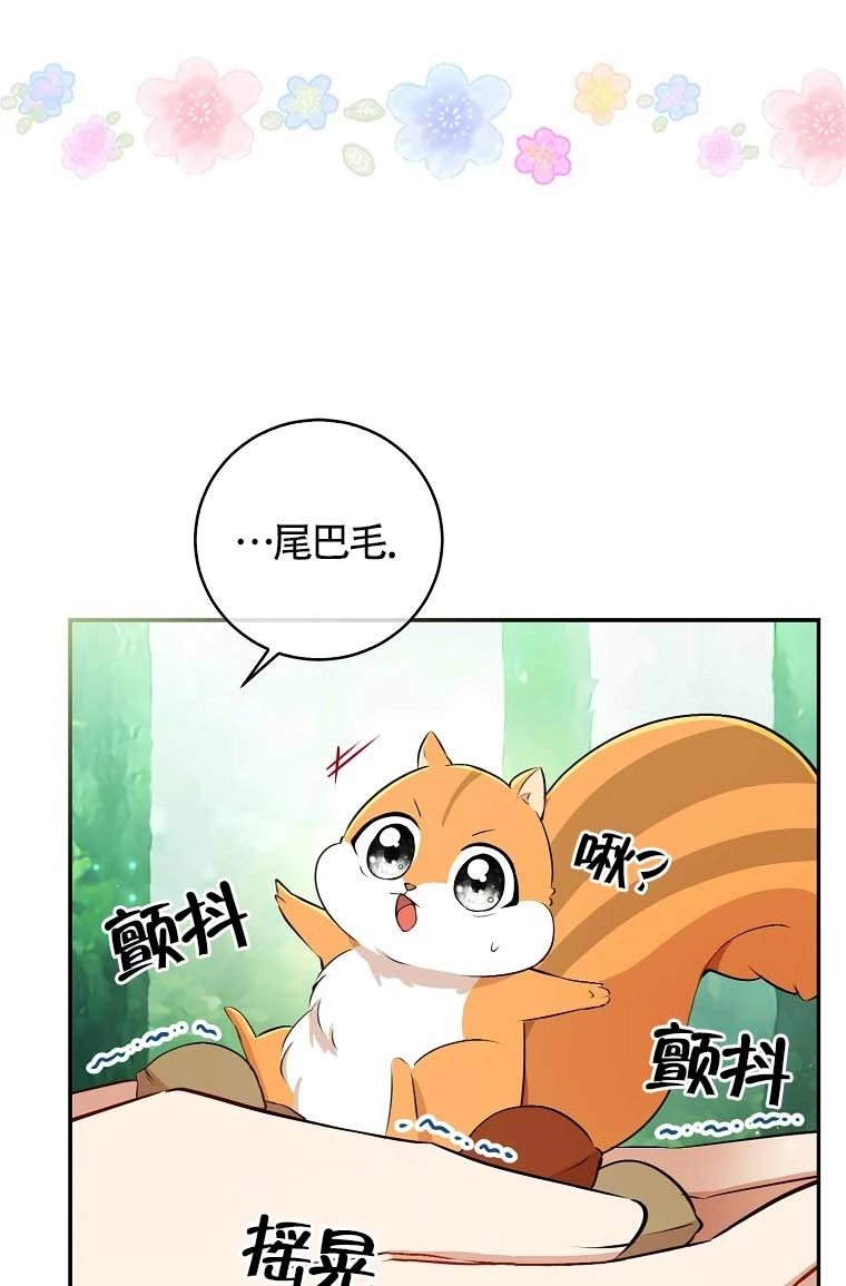 《松鼠宝宝无所不能》第29话 第52页
