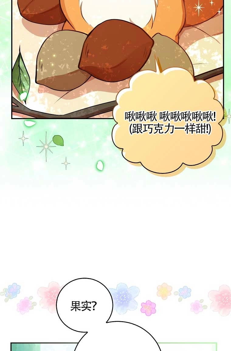 《松鼠宝宝无所不能》第29话 第50页
