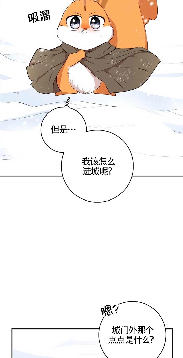 《松鼠宝宝无所不能》第03话 第49页