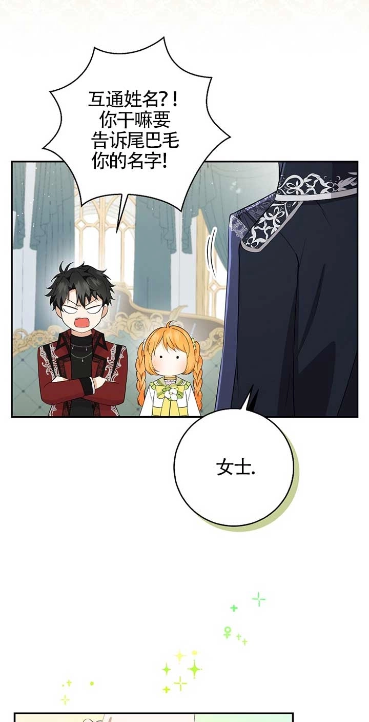 《松鼠宝宝无所不能》第33话 第3页