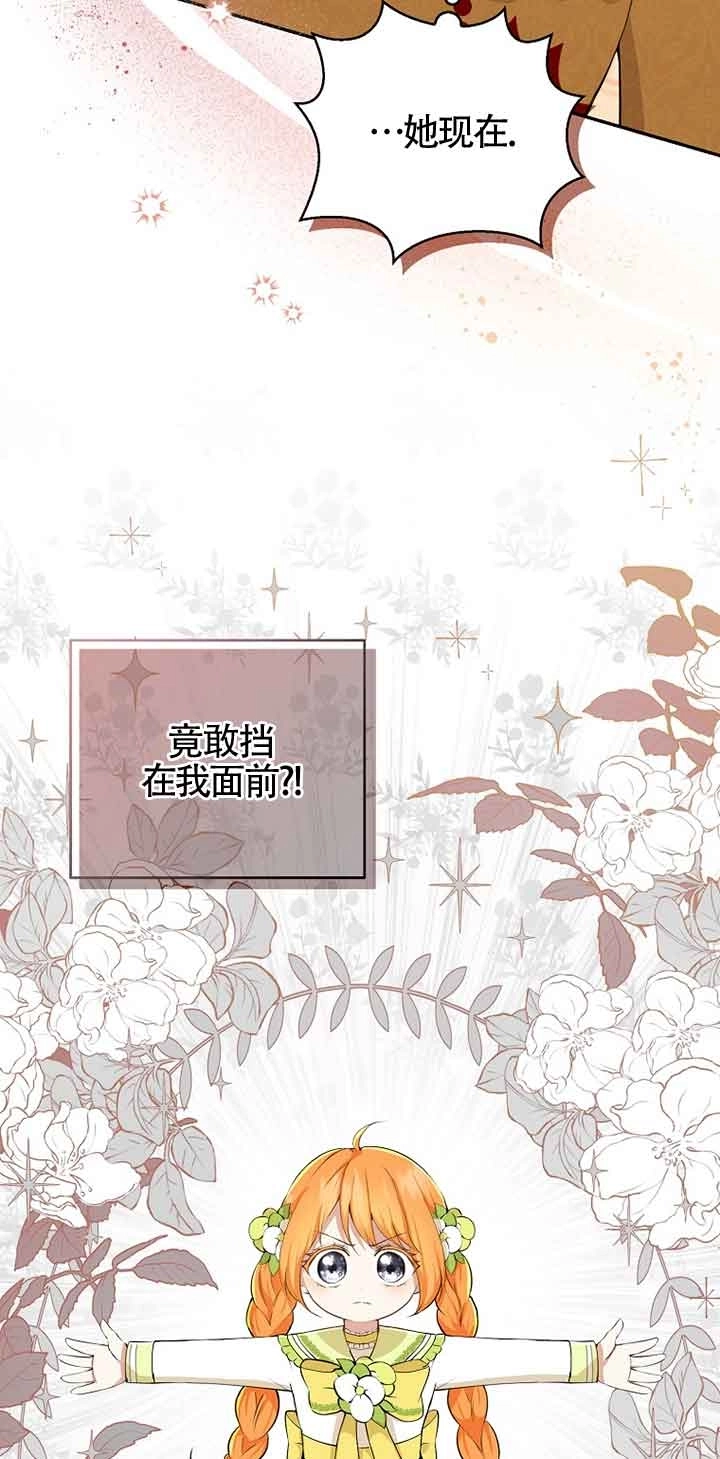 《松鼠宝宝无所不能》第34话 第3页