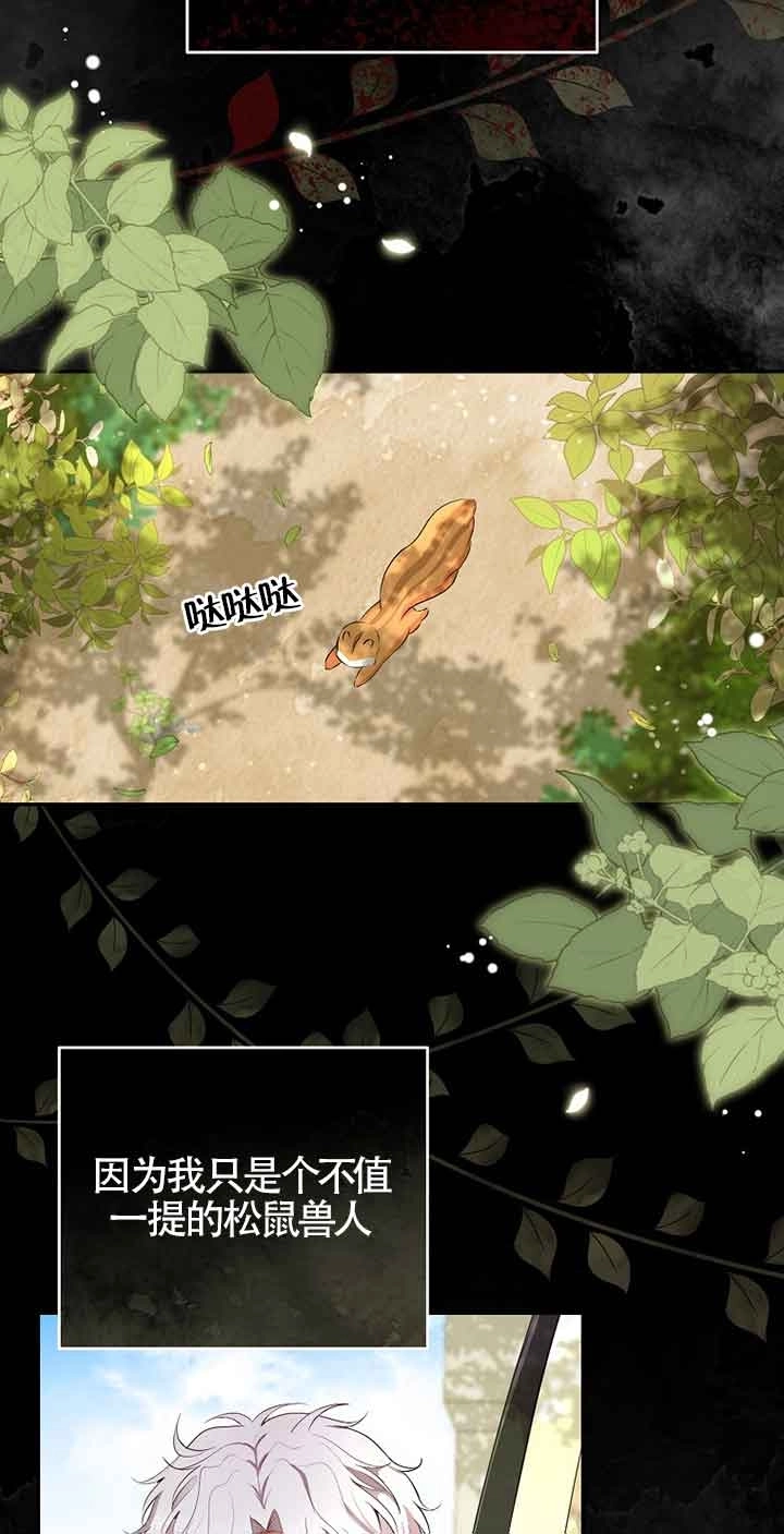 《松鼠宝宝无所不能》第36话 第41页