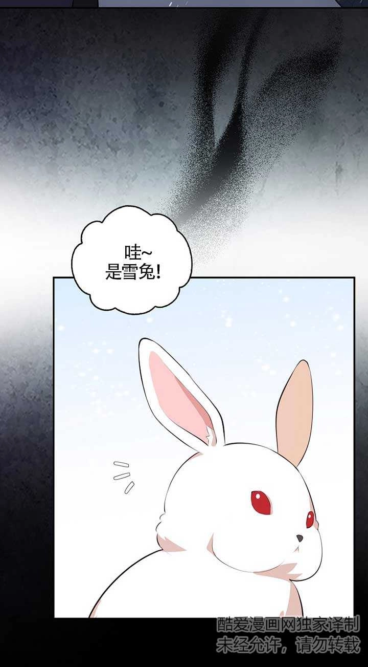 《松鼠宝宝无所不能》第05话 第66页
