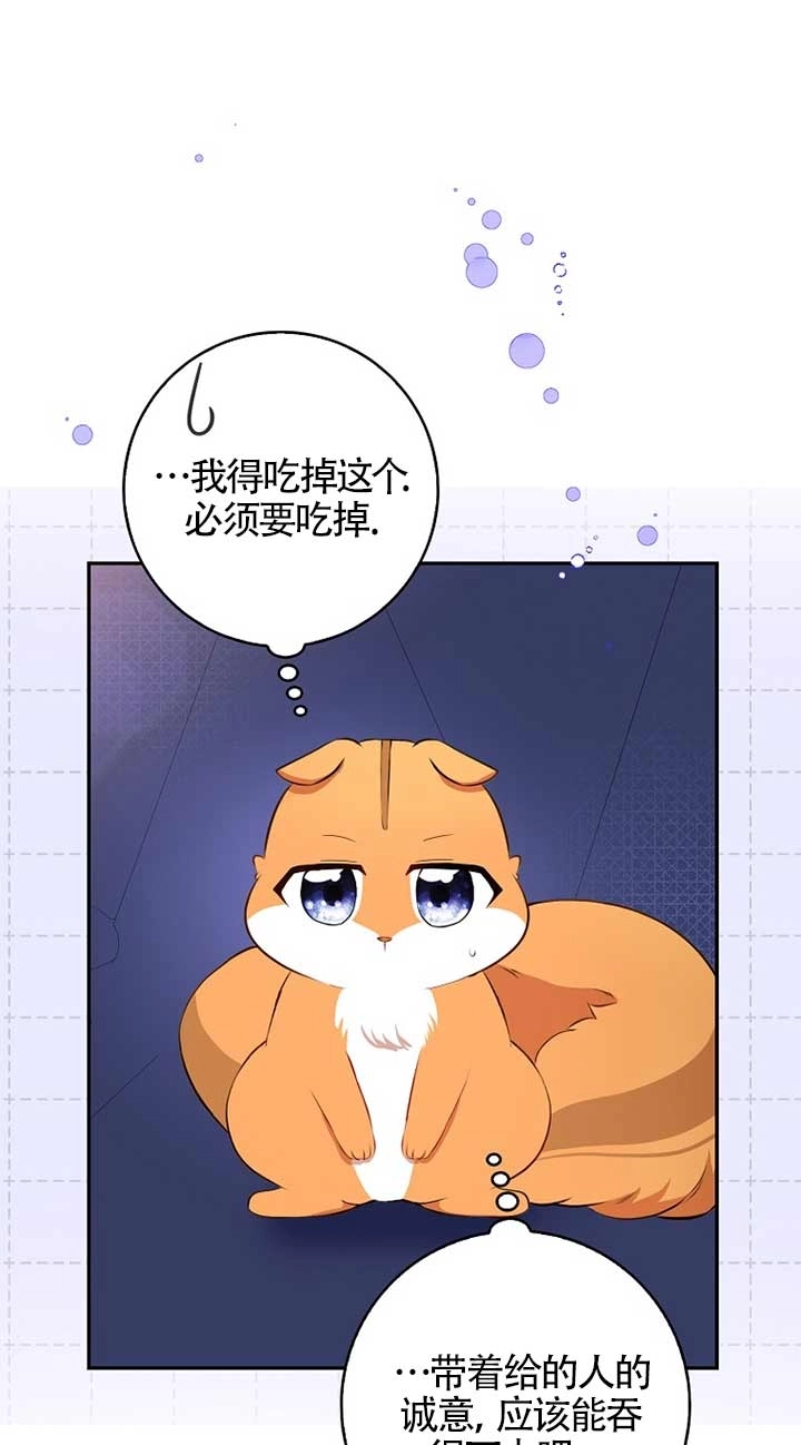 《松鼠宝宝无所不能》第05话 第94页