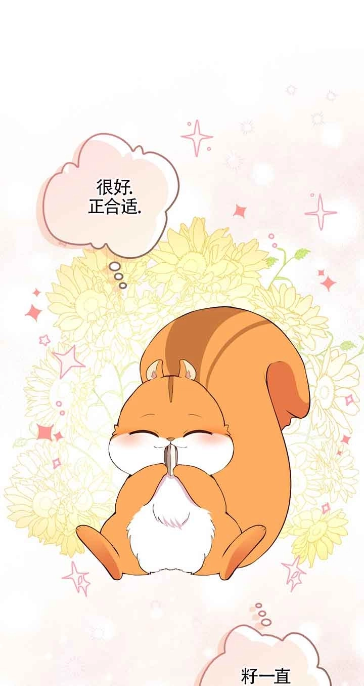 《松鼠宝宝无所不能》第06话 第1页