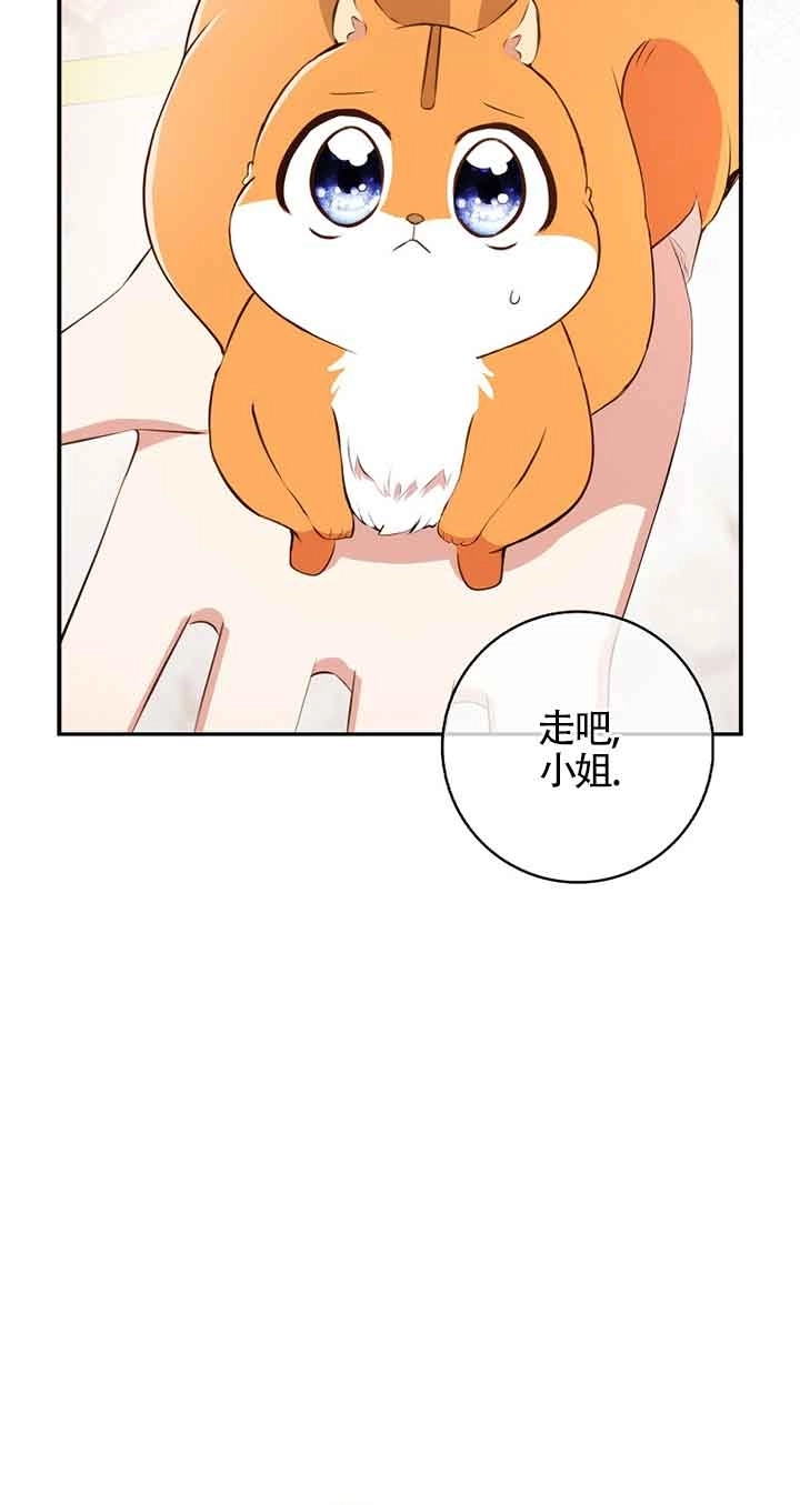 《松鼠宝宝无所不能》第06话 第13页