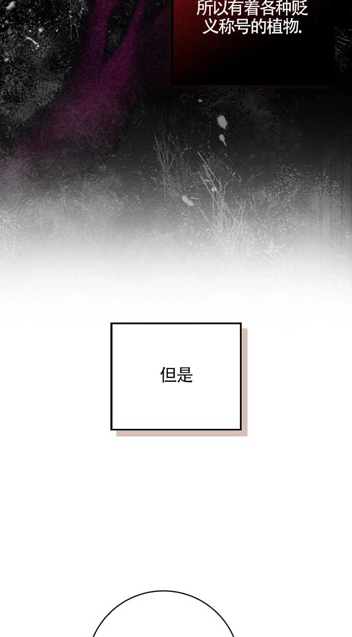 《松鼠宝宝无所不能》第08话 第55页
