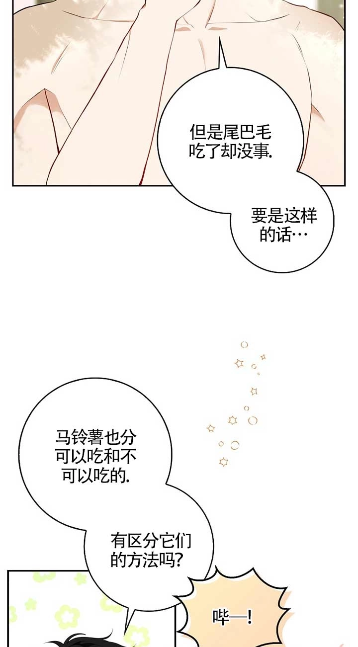 《松鼠宝宝无所不能》第09话 第13页