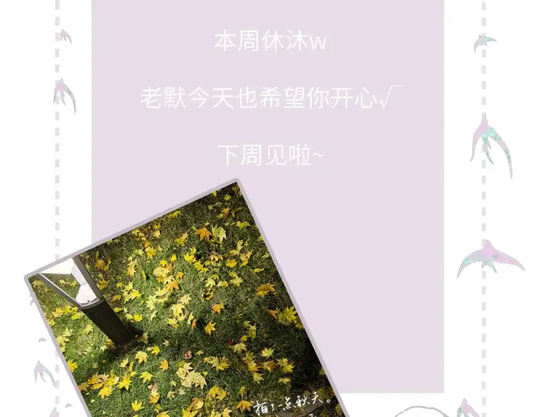 《溯洄春时》休息日 三格打卡 第5页