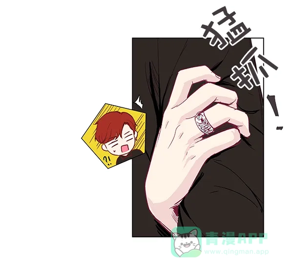 《所以和黑粉结婚了》序言 第77页