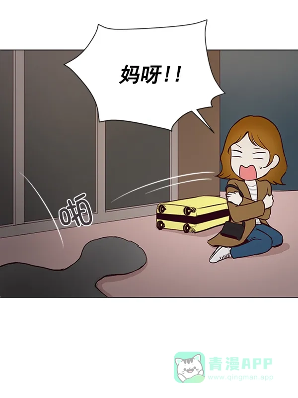 《所以和黑粉结婚了》第16话 第5页