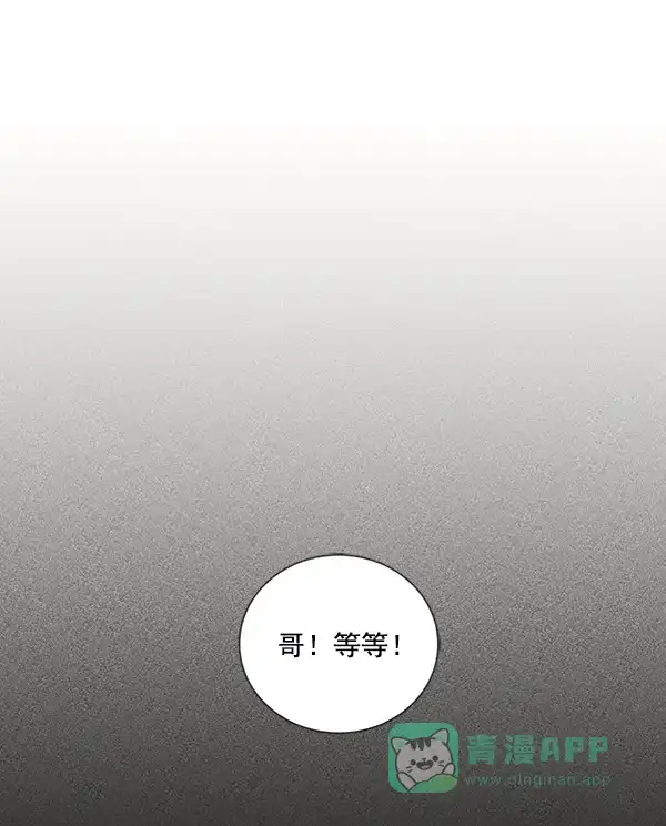 《所以和黑粉结婚了》第36话 第11页
